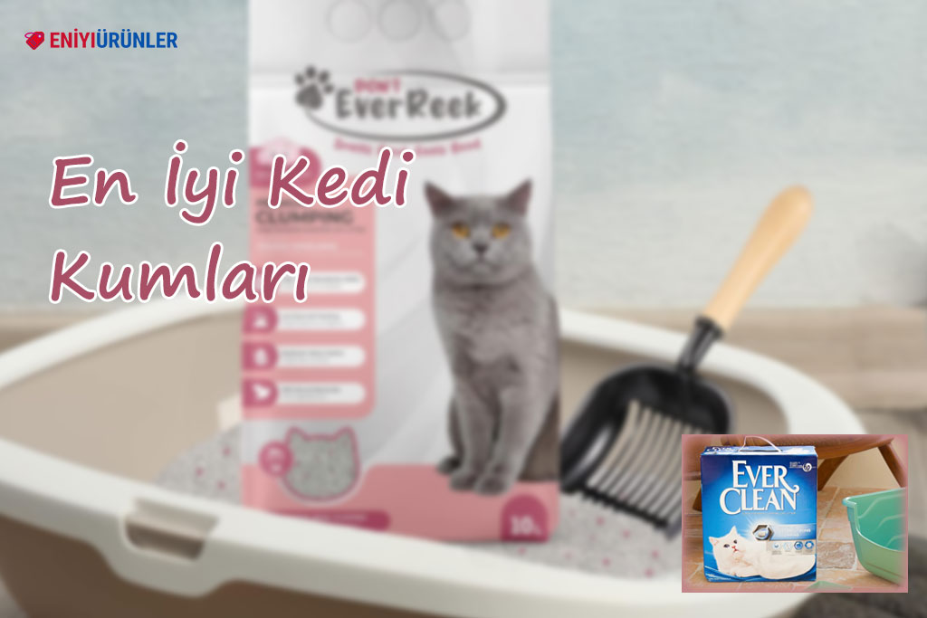 12 En İyi Kedi Kumları 2024: Uzman İpuçları