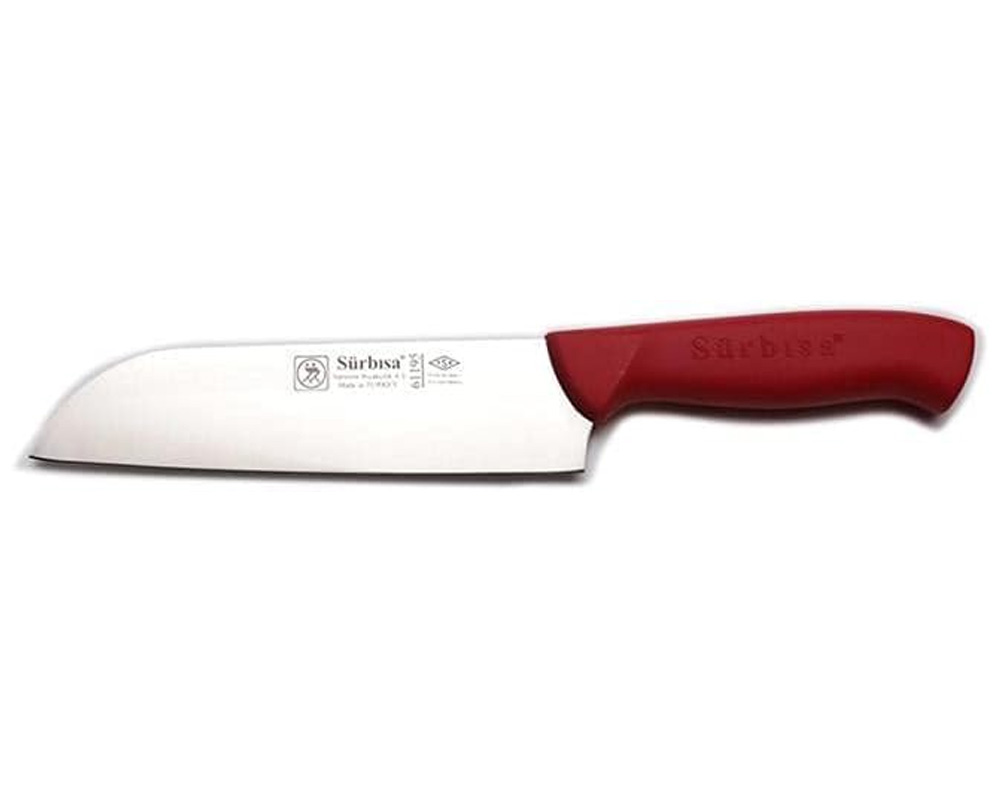 En İyi Santoku Şef Bıçağı